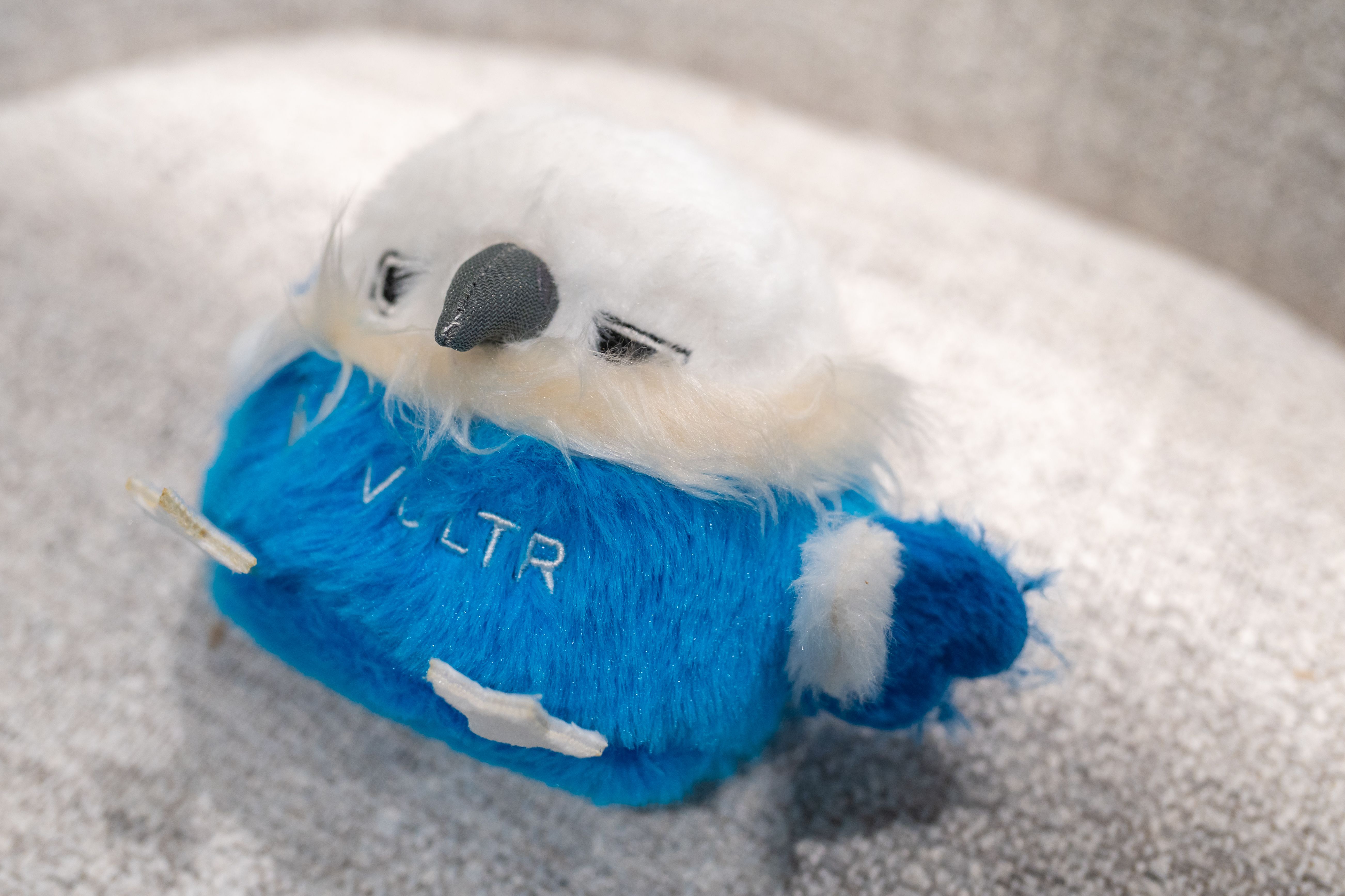 A7408520-88.jpg