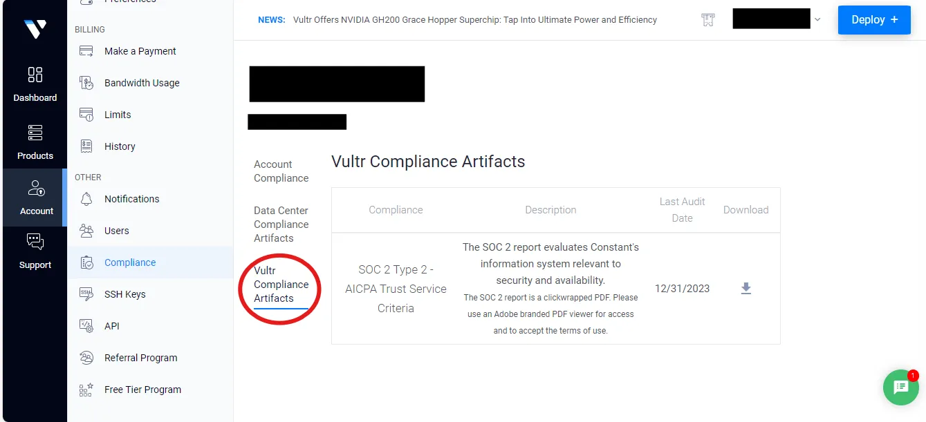 Data Security with Vultr (1).webp